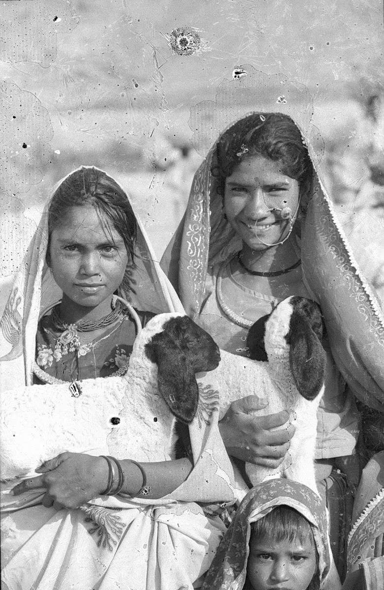 Two smiling girls in head scarves holding young goats, with a small child peeping up in front of them.