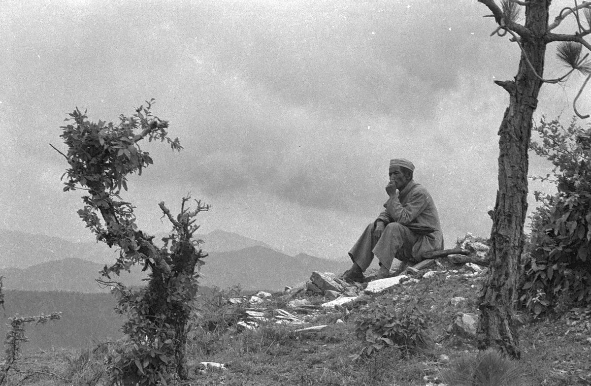 A man in a cap sitting alone on a hillside between two bare trees, hills fading into the distance.